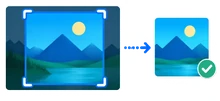 Image crop selection and cropped result